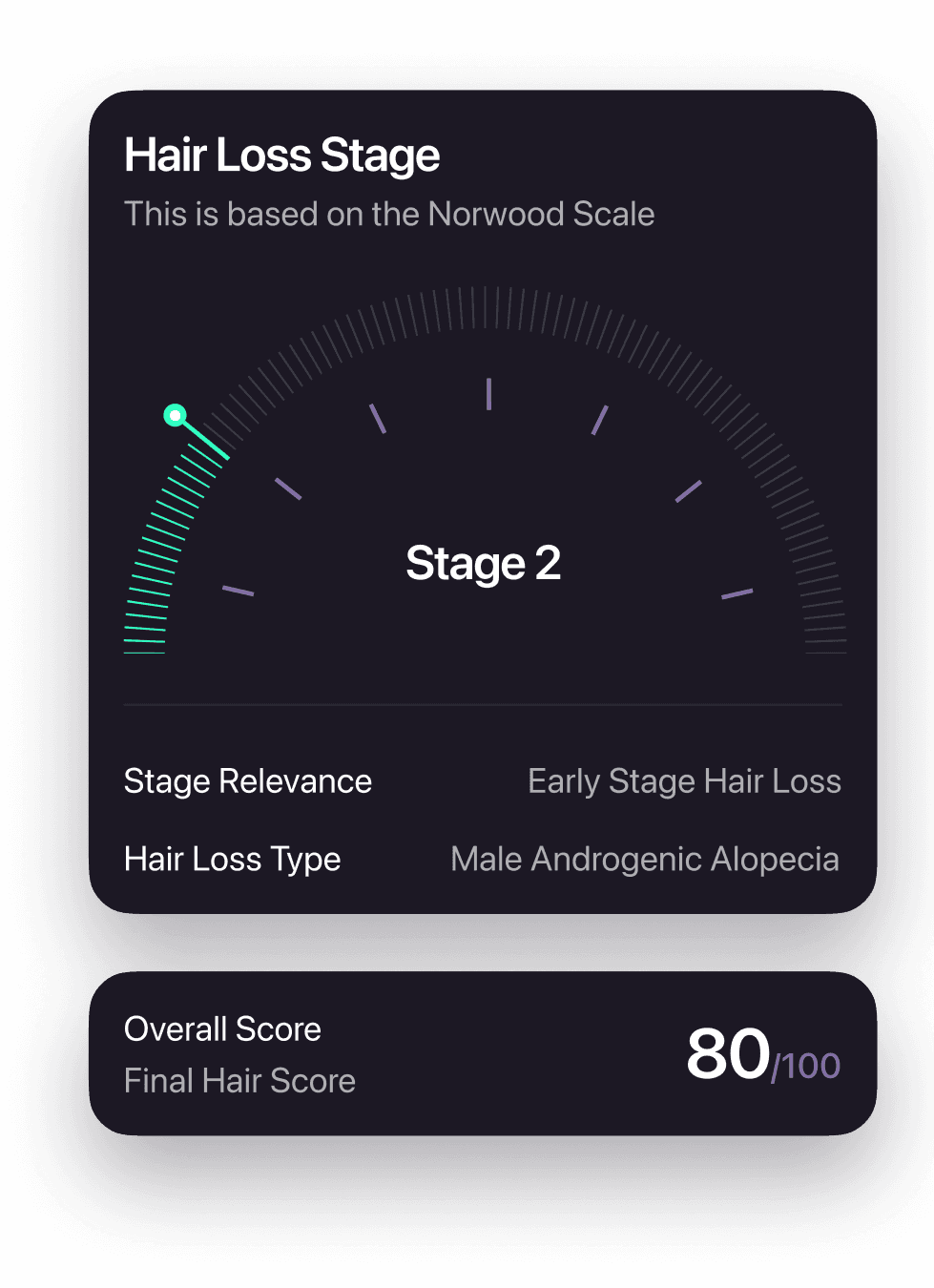 Norwood Scale Analysis